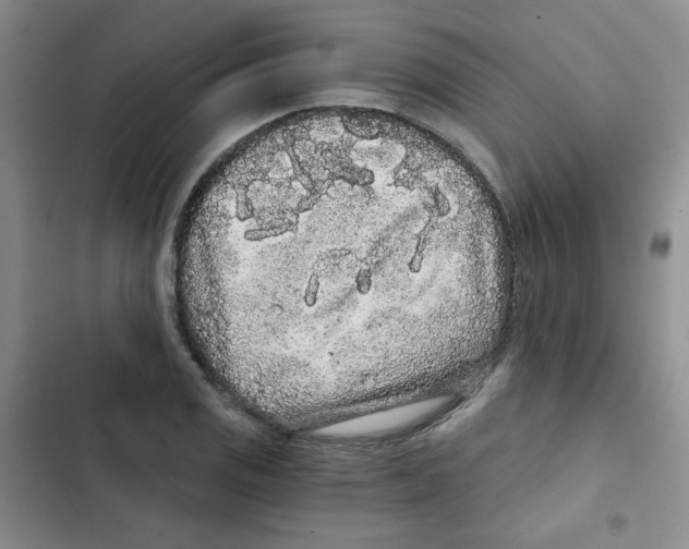 X0000102801125200809150922