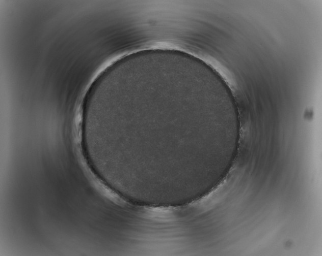 X0000102801126200809150922