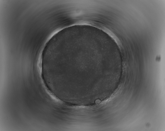 X0000102801127200809150922