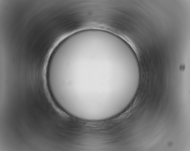 X0000102801128200809150922