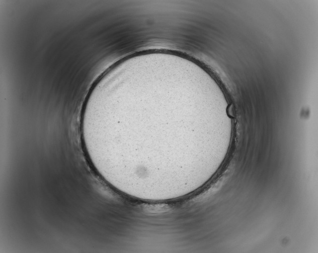 X0000102801129200809150922