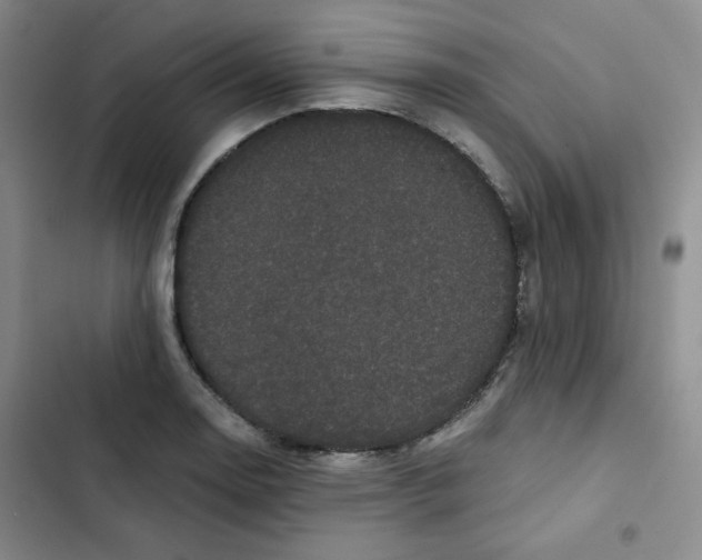 X0000102801130200809150922