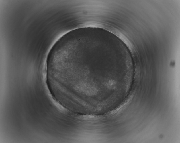 X0000102801132200809150922