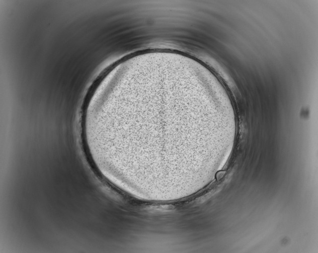 X0000102801133200809150922