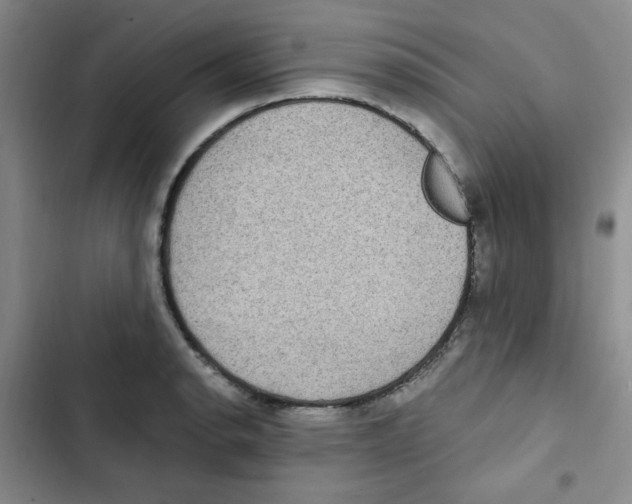 X0000102801134200809150922