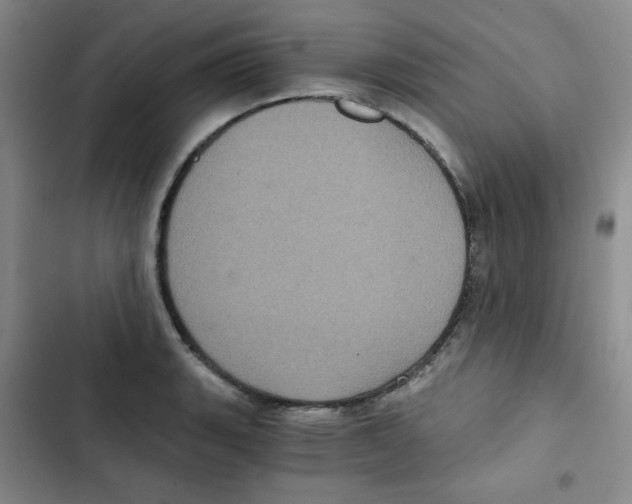 X0000102801135200809150922