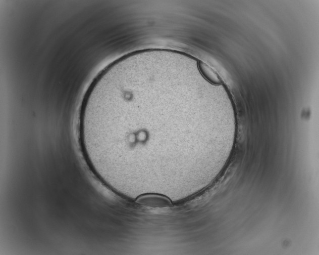 X0000102801136200809150922