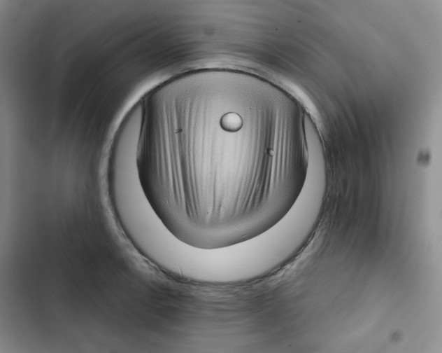 X0000102801138200809150922