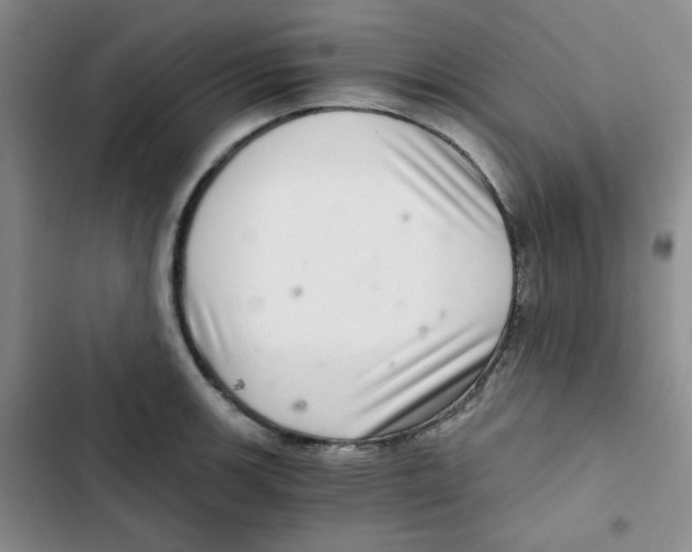 X0000102801139200809150922