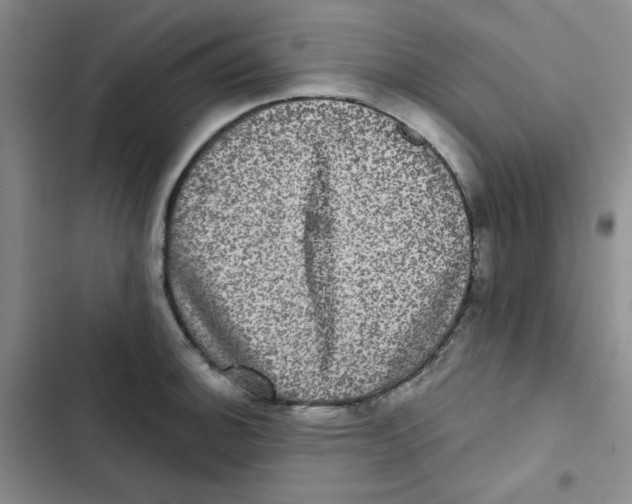 X0000102801140200809150922