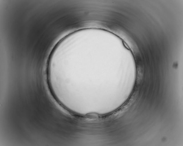 X0000102801142200809150922