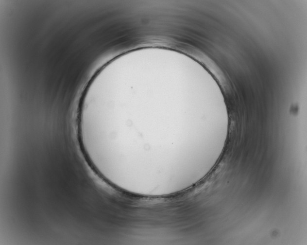 X0000102801143200809150922