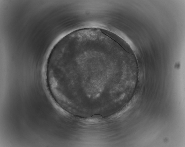 X0000102801144200809150922