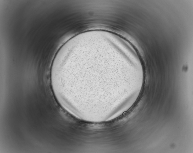 X0000102801145200809150922