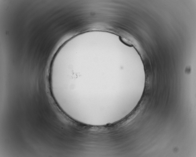 X0000102801146200809150922