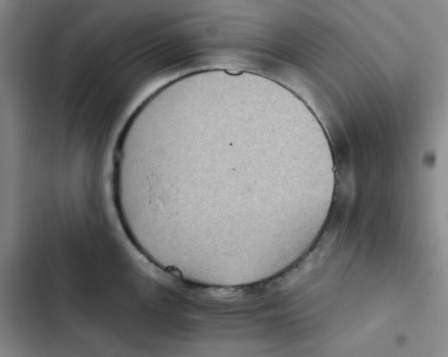 X0000102801147200809150922