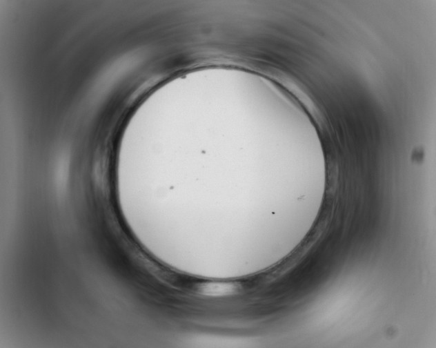 X0000102801151200809150923