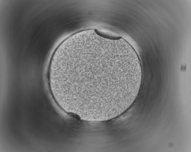 X0000102801152200809150923