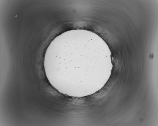 X0000102801153200809150922