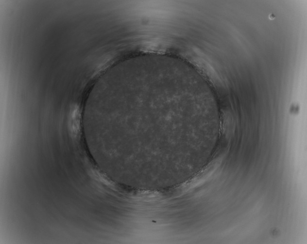 X0000102801154200809150922