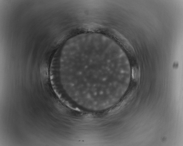 X0000102801155200809150922