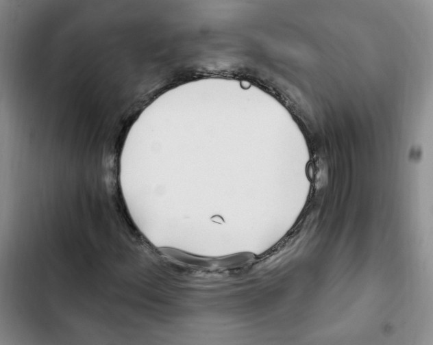 X0000102801156200809150922