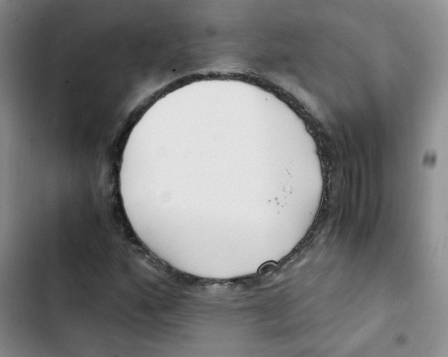 X0000102801160200809150922