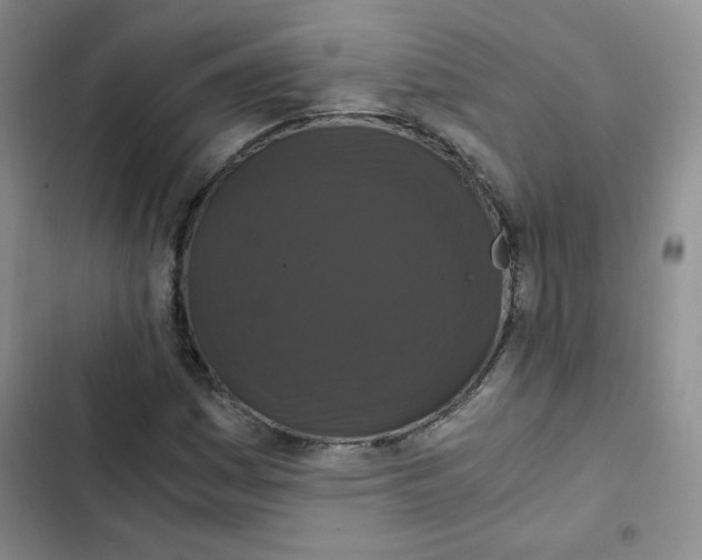 X0000102801161200809150922