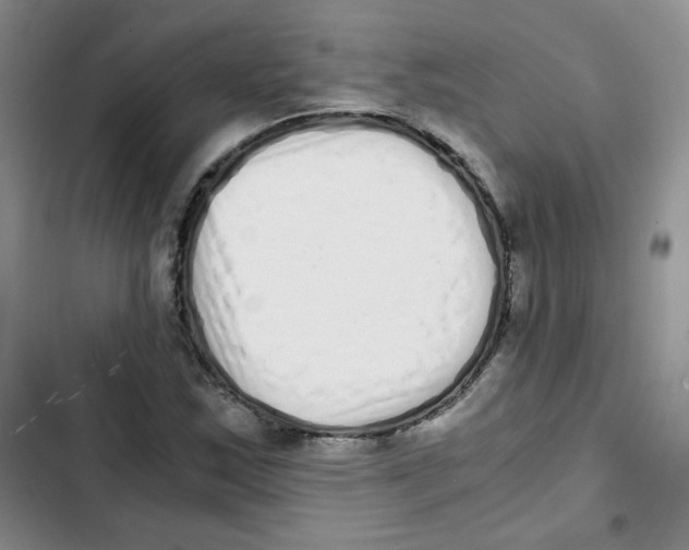 X0000102801163200809150922