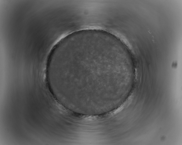 X0000102801165200809150922