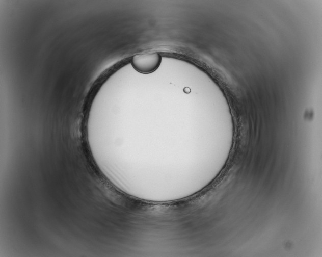 X0000102801166200809150922