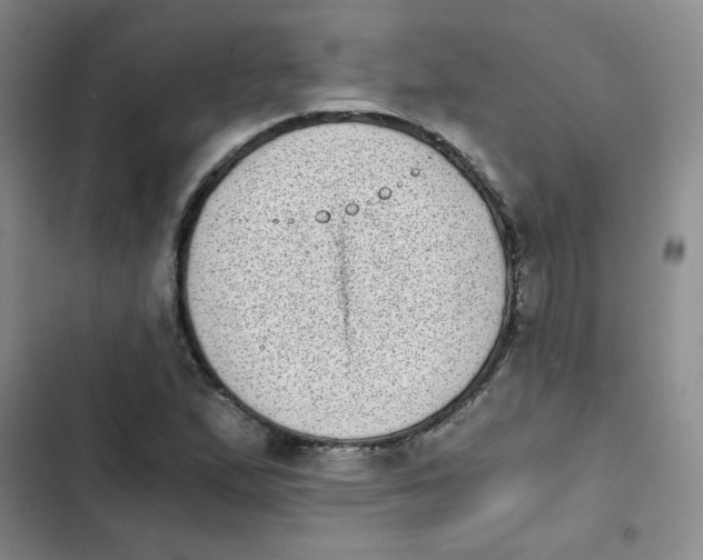 X0000102801167200809150922