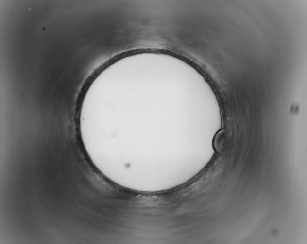 X0000102801168200809150922