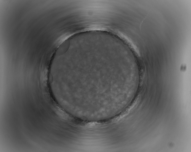 X0000102801169200809150922