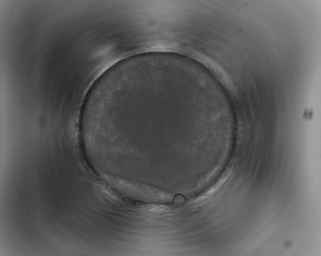 X0000102801170200809150922