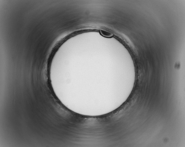 X0000102801172200809150921