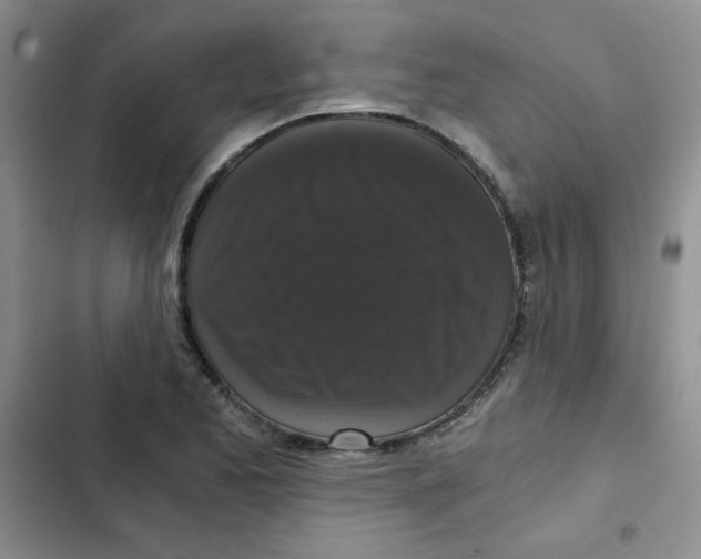 X0000102801173200809150921