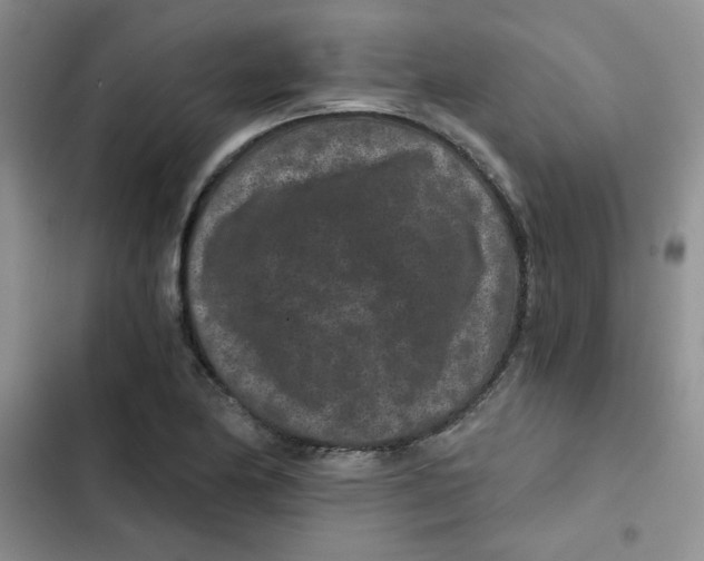 X0000102801174200809150921