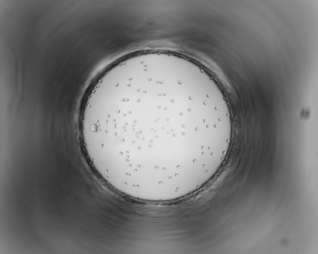 X0000102801176200809150921