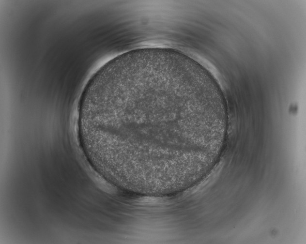 X0000102801179200809150921