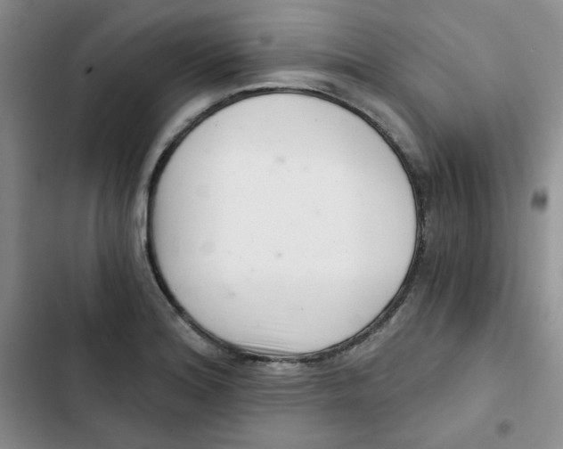 X0000102801180200809150921