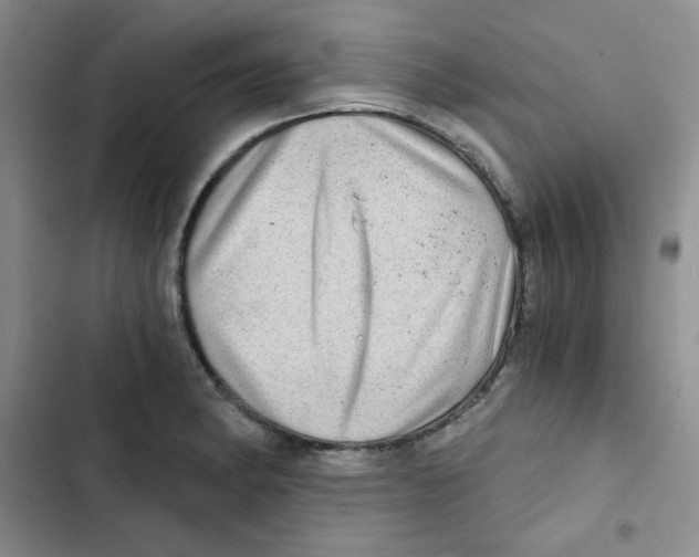 X0000102801182200809150921