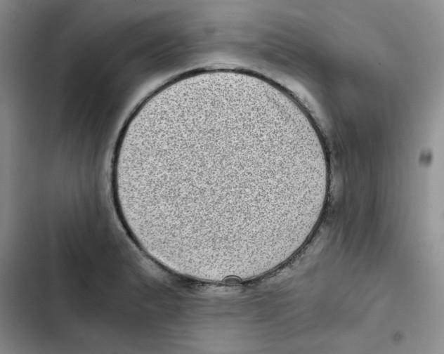 X0000102801183200809150921