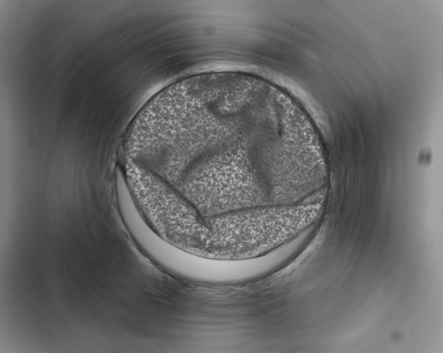 X0000102801185200809150921