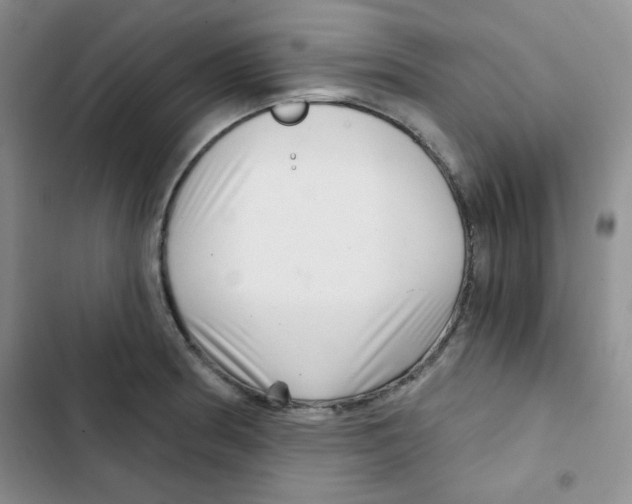 X0000102801186200809150921