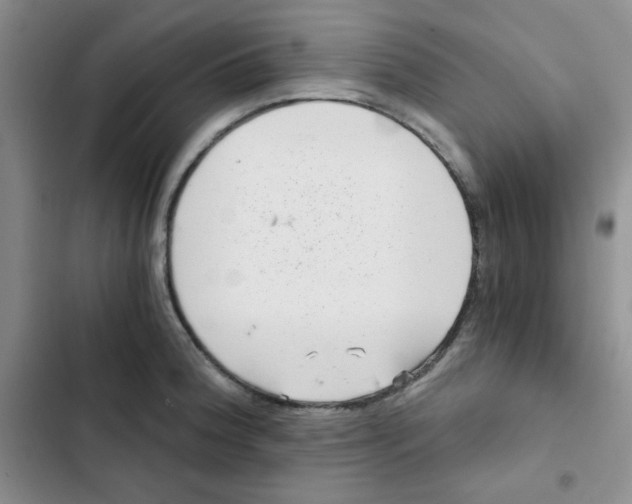 X0000102801188200809150921