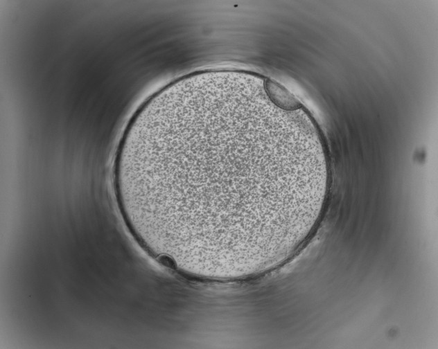 X0000102801189200809150921