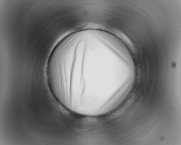 X0000102801190200809150921