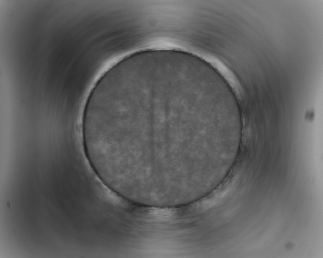 X0000102801191200809150921