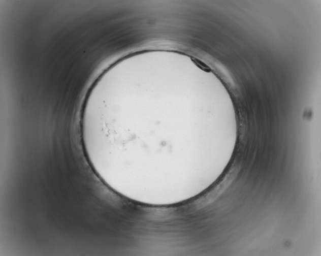 X0000102801192200809150921